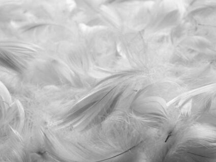 Подушка Nature’S-Natura Sanat Для женщин 50х70