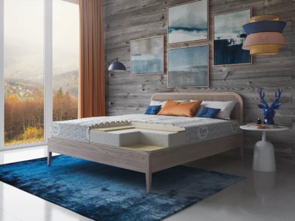 Матрас Evita Transform Visco Duo 2 43