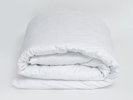 Комплект постельного белья German Grass Paisley Palette Grass Семейный