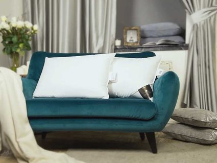 Подушка Trois Couronnes Princess Down Pillow 386