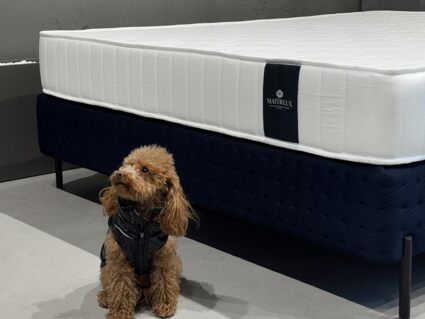 Матрас Materlux Aventino Multi Forte 60х120