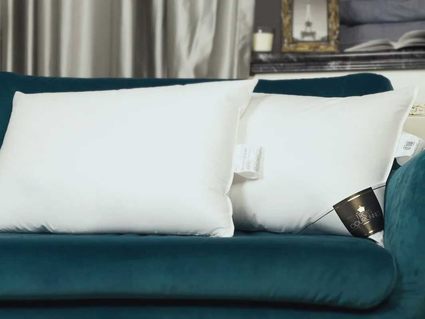 Подушка Trois Couronnes Princess Down Pillow 386